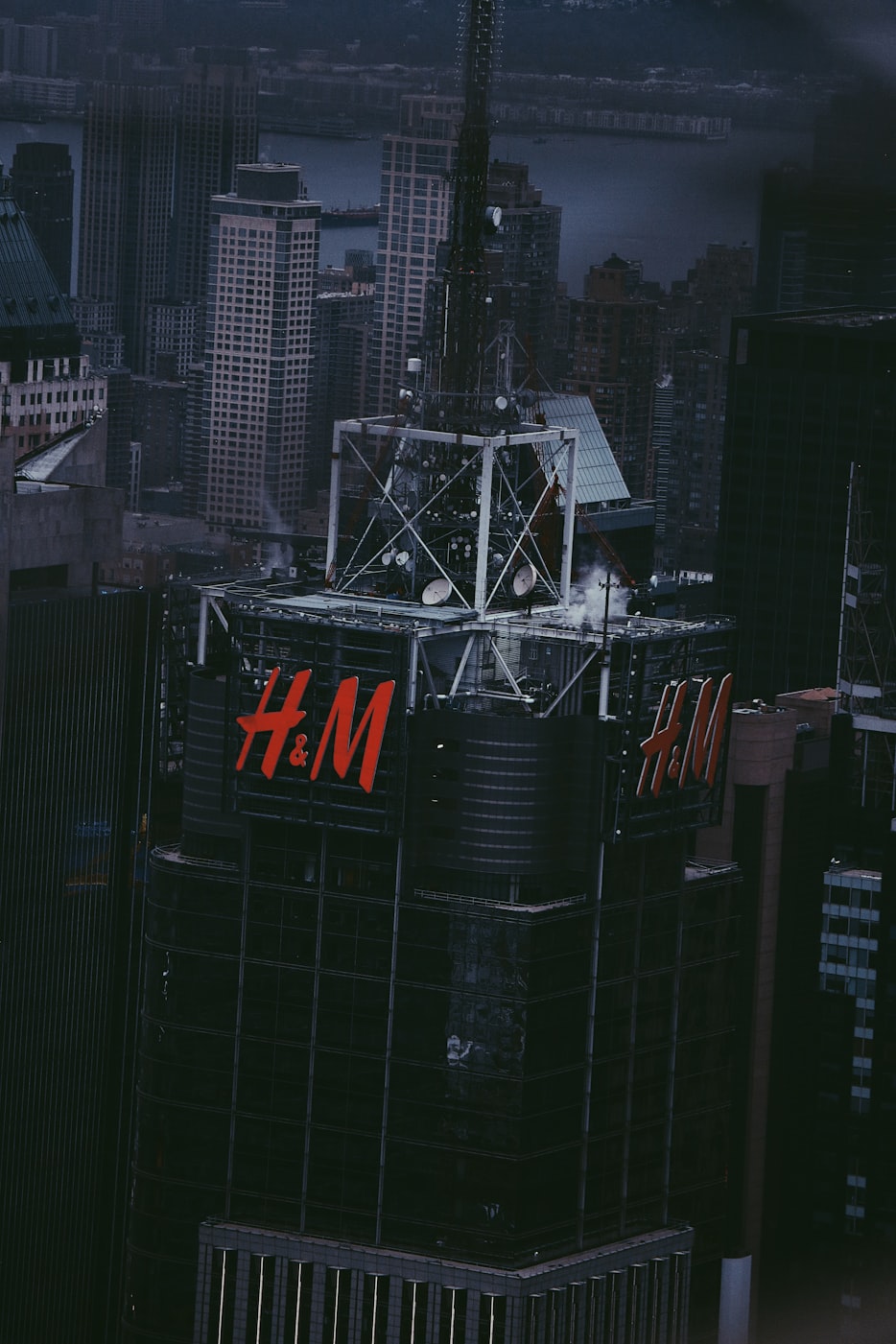 游戏厅大神树哥如何成为高手？技巧分享与经验交流