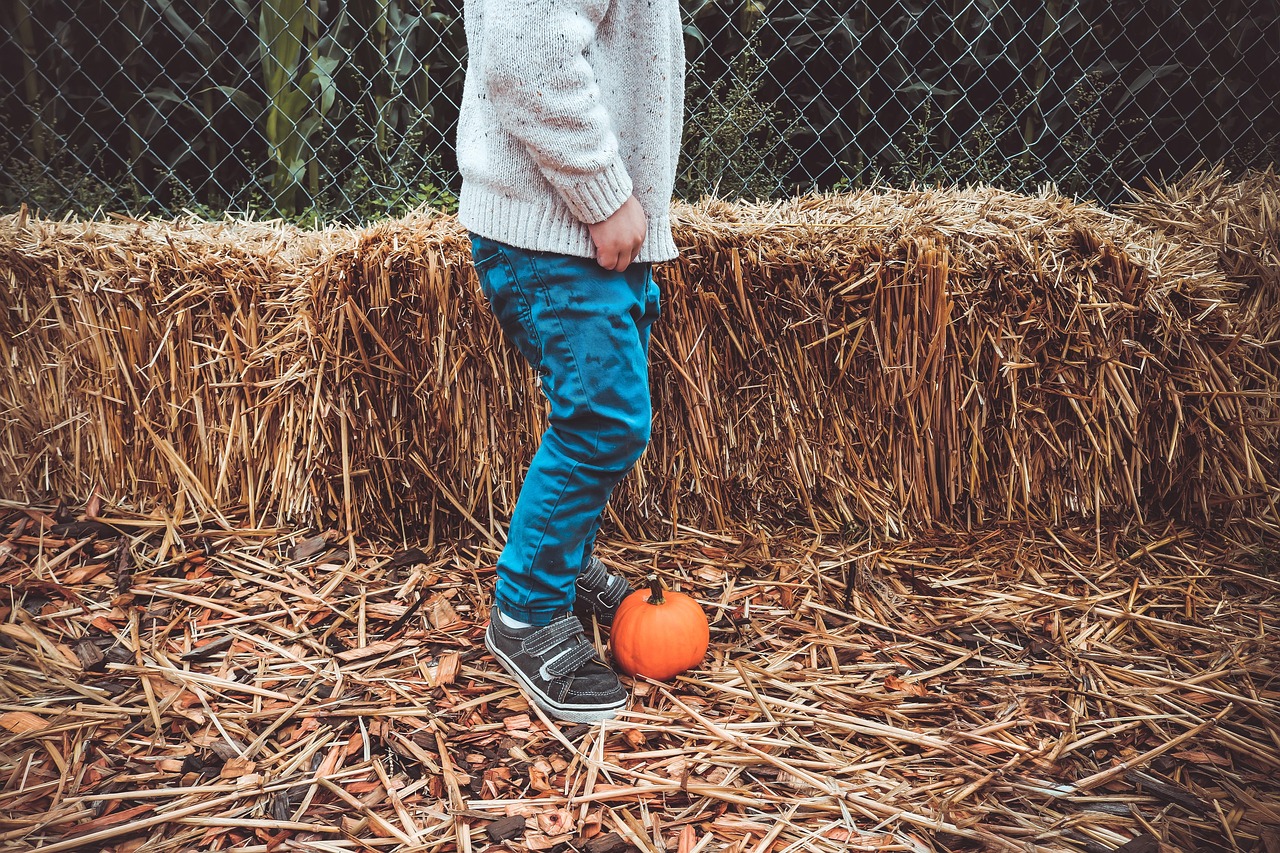 陪孩子玩的亲子游戏，如何增进亲子关系并激发孩子潜能？