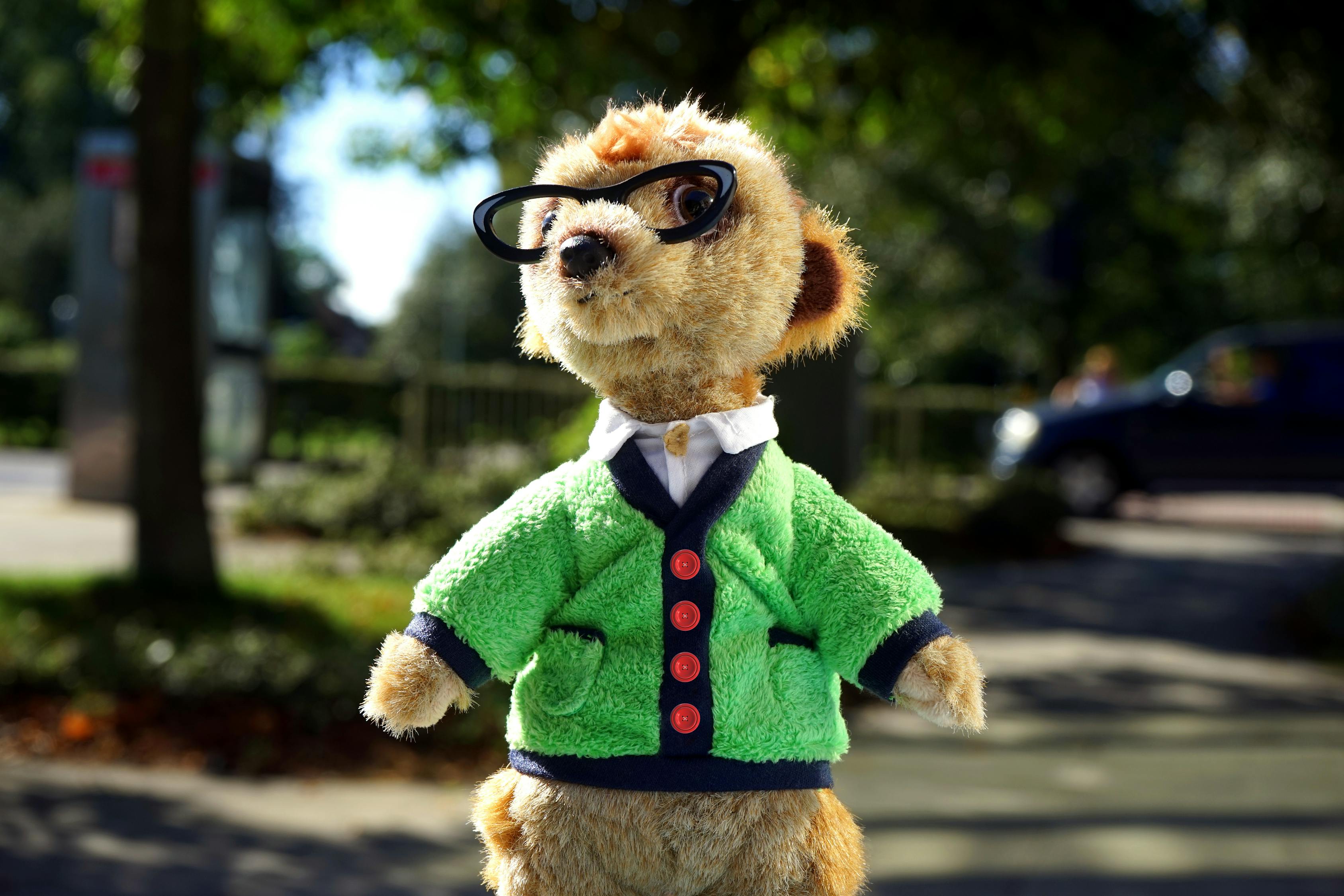 玩偶的甜蜜游戏陪玩，如何挑选合适的玩偶,降低费用风险？