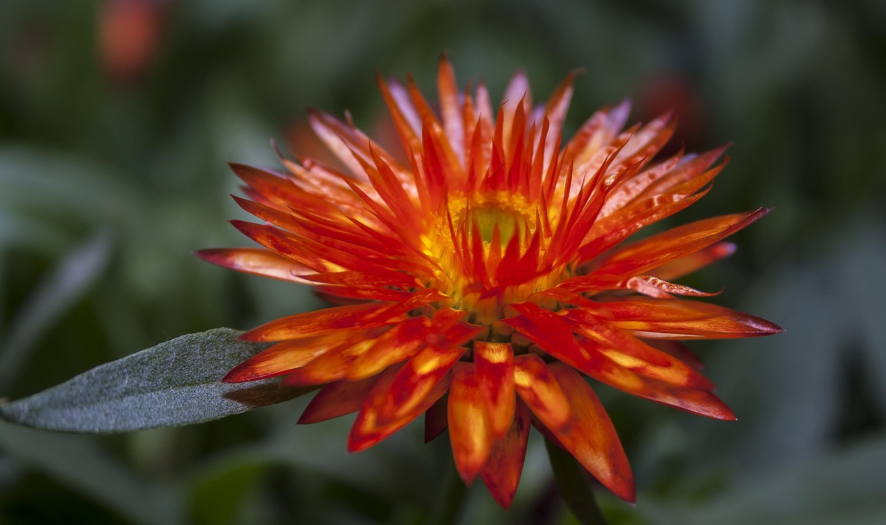 微信游戏好友动态看不到，怎么办？解决方案大揭秘！