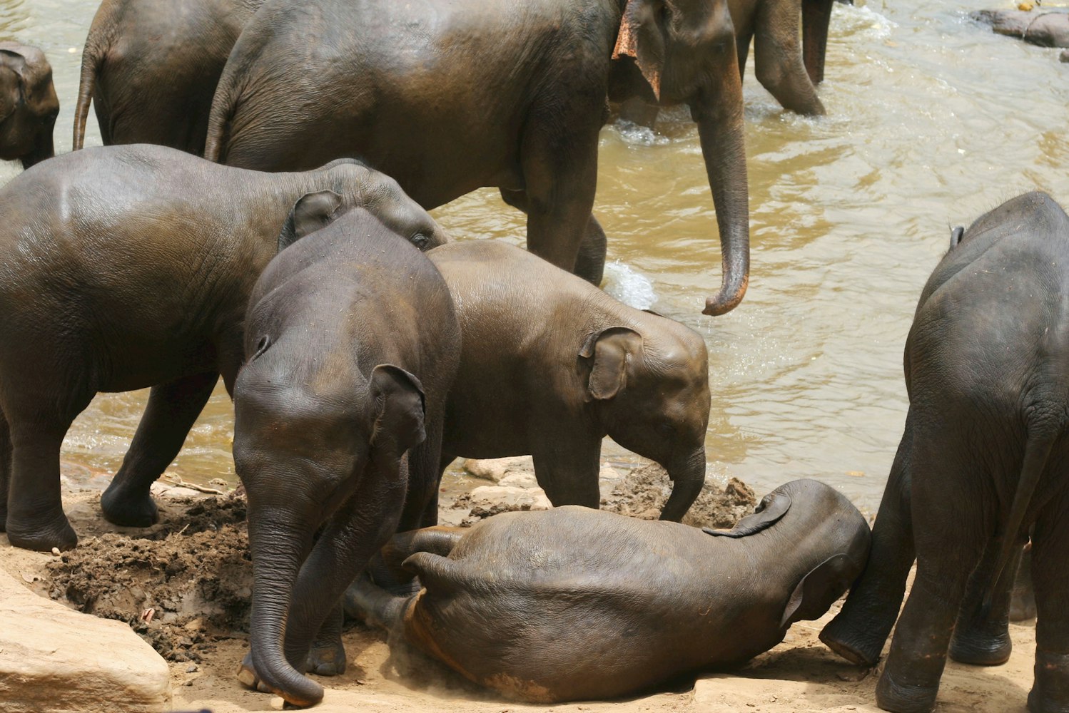 斗牛游戏好友房如何创建？省时又省钱的技巧分享